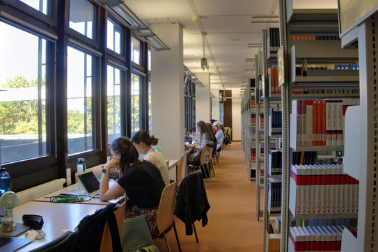 Studiernde lernen in der EFB