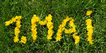 Schriftzug "1. Mai" mit Blumen auf Wiese