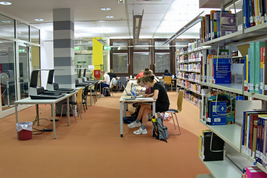 Studierende lernen in der Bibliothek