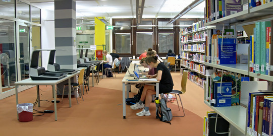 Studierende lernen in der Bibliothek