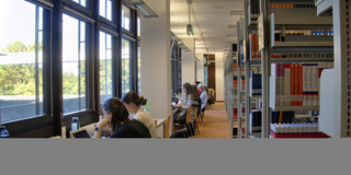 Students learning in the Library