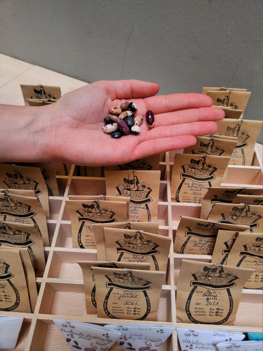A box with many small labeled seed bags