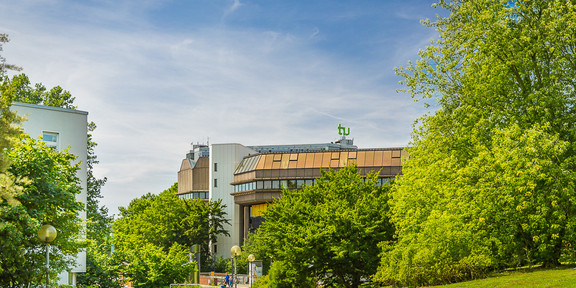 Gebäude der Universitätsbibliothek im Sommer, im Vordergrund grüne Bäume