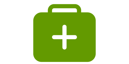 green medication case icon