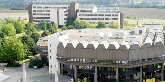 Bibliothek von oben, grüne Bäume